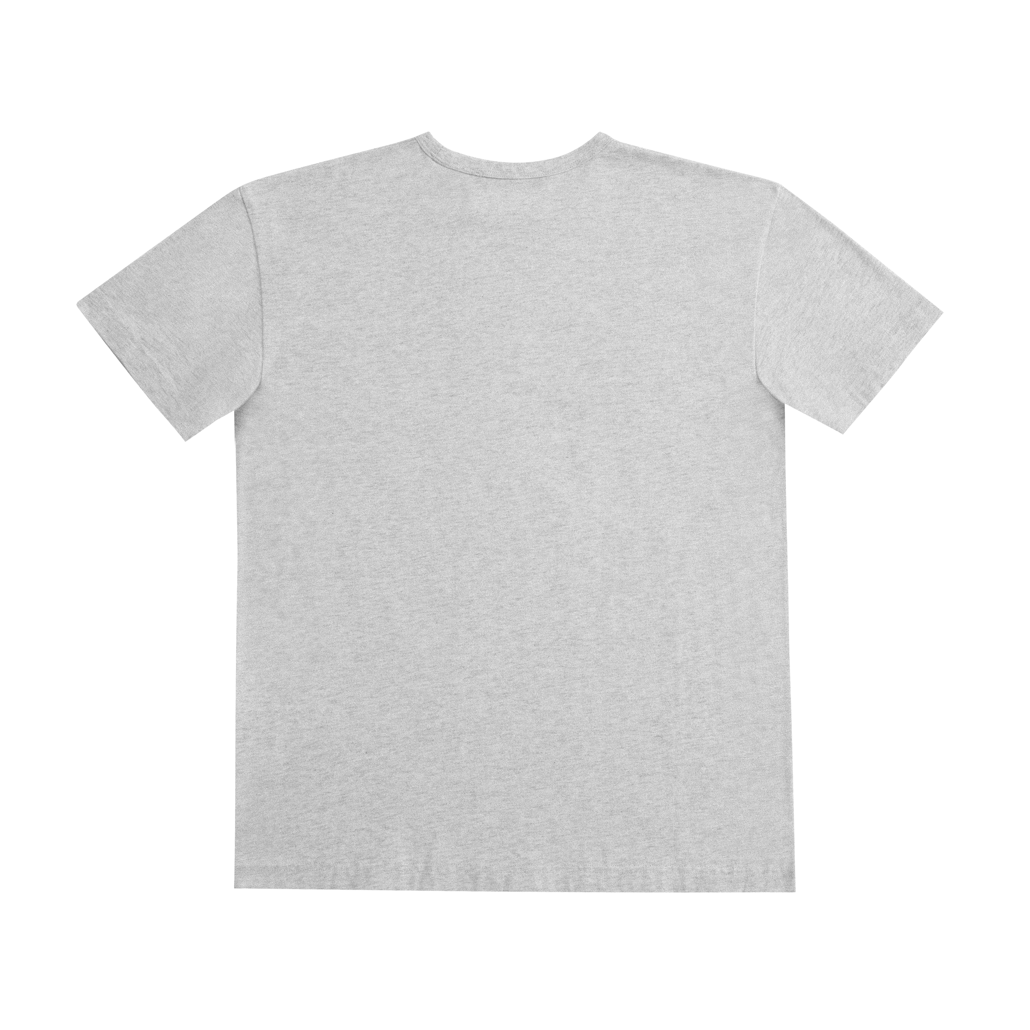 REGULAR FIT T-SHIRT